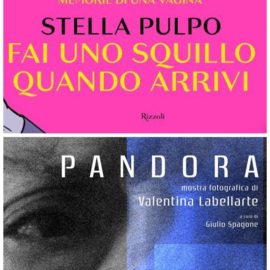 Stella-Pulpo-Memoria-di-una-vagina-museo-civico-bari